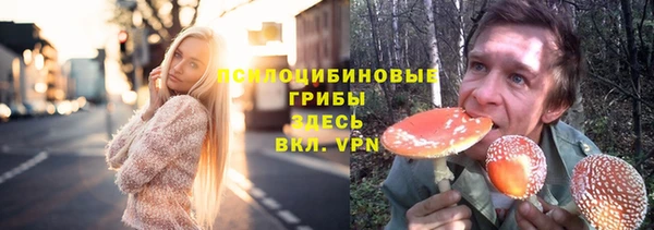 гидропоника Абдулино